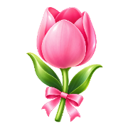 Tulip